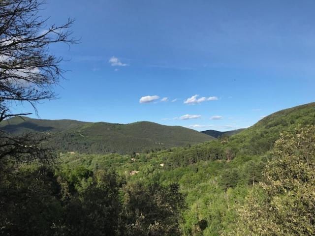 דירות סן-ז'אן-דו-גאר Gite Des 3 Vallees - Le Soleil Des Cevennes מראה חיצוני תמונה